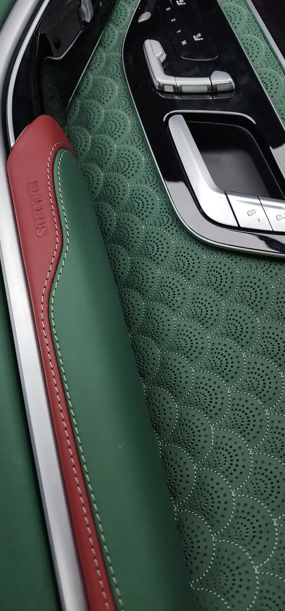 Green fish scale panel, Mercedes S-Class